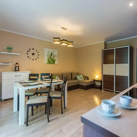 Brzozowy Zakatek - 5d Daire Świeradów-Zdrój